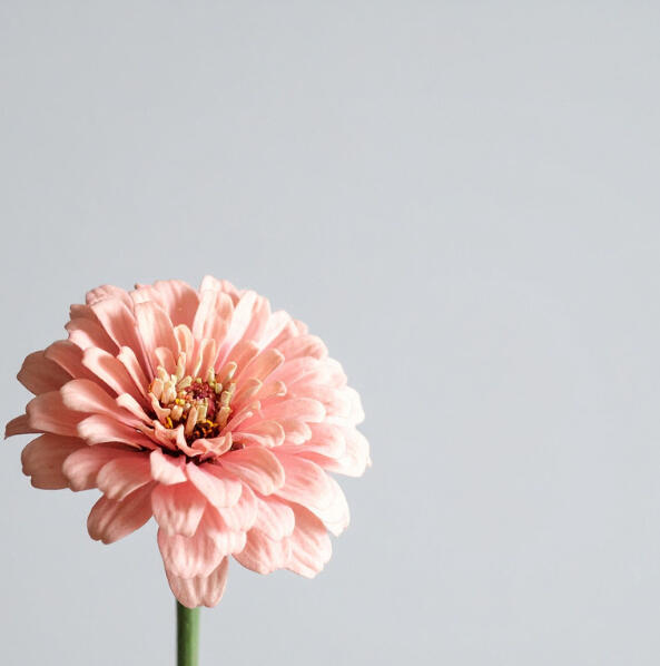 Flower 1